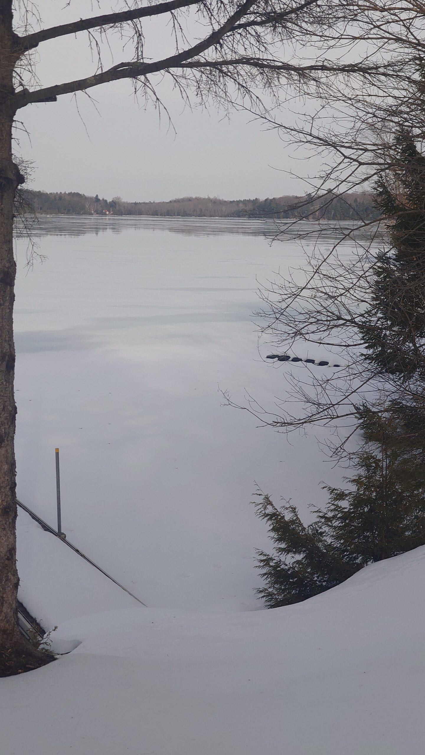 Winter Lake View - Blue Oasis Lakefront Cottage