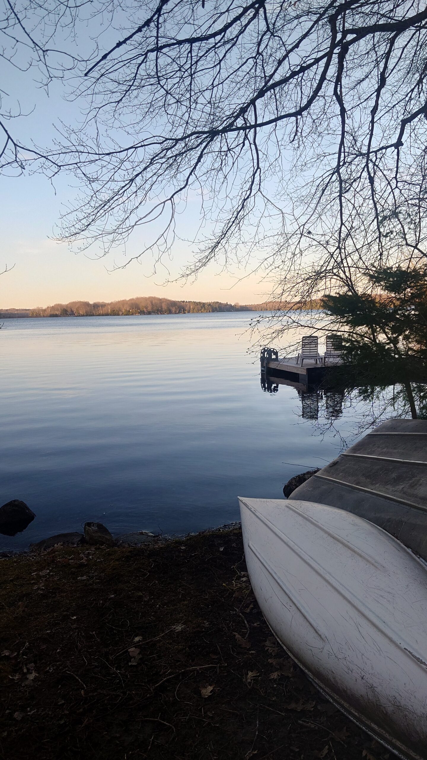 Blue Oasis Lakefront Cottage - Canoe