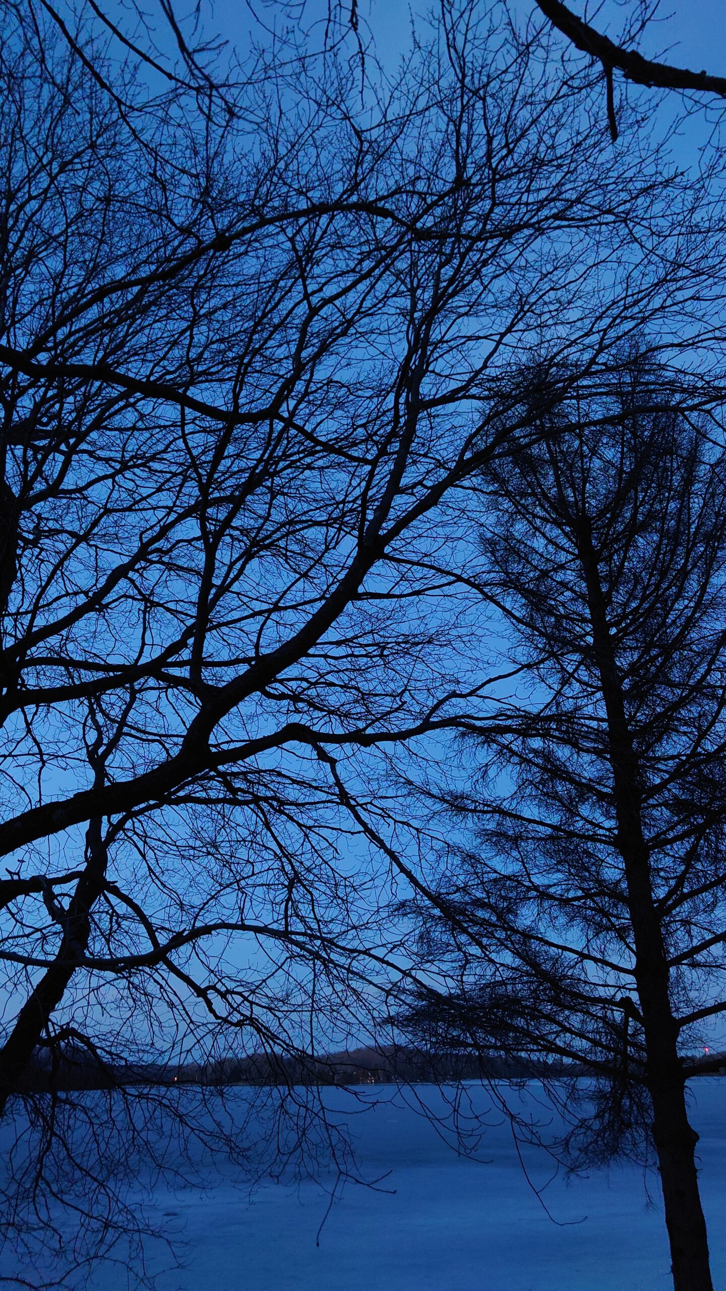 Night Sky at Blue Oasis Lakefront Cottage