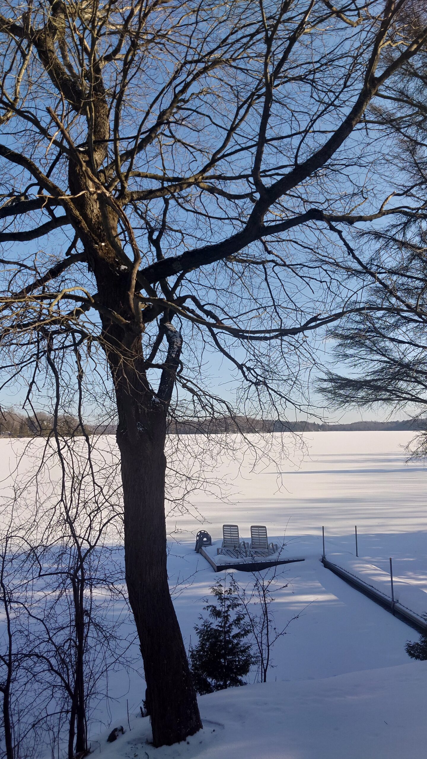 Blue Oasis Lakefront Cottage - Winter